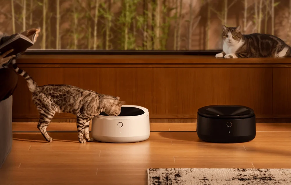 Two automatic feeders stand on the floor by the window; a brown cat eats from the white feeder while a second black cat lies on the windowsill