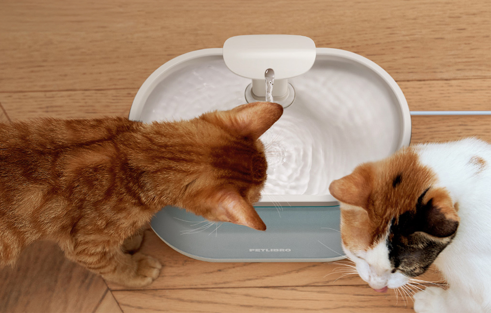 Two cats drinking water from an automatic water fountain placed on a wooden floor.