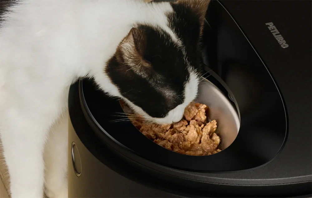 A black-and-white cat eats wet food from a black automatic feeder