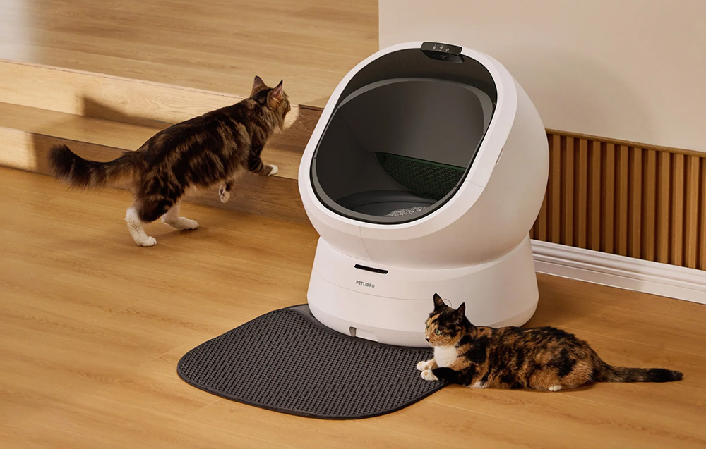 Two cats next to a white, automatic litter box placed on a wooden floor, with a black mat in front of the entrance
