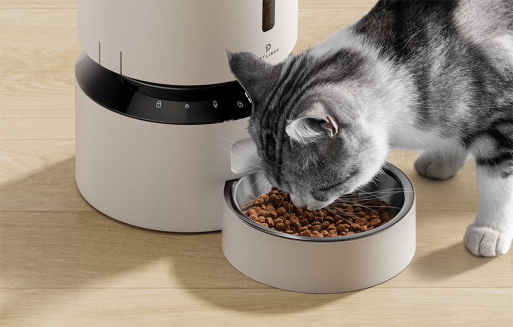A gray-and-white cat eats dry food from a bowl standing next to the automatic feeder