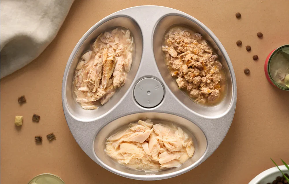 A three-compartment bowl filled with three portions of wet food, photographed from above on a light background