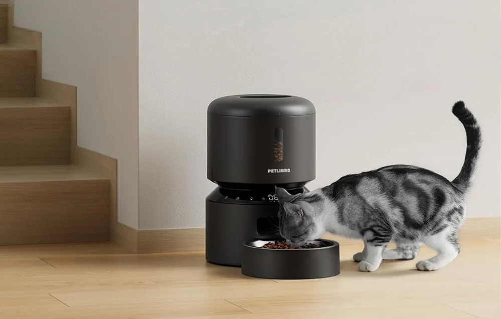 Black automatic feeder with a bowl from which a gray cat is eating
